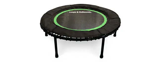 Leaps and Rebounds Bungee Rebounder